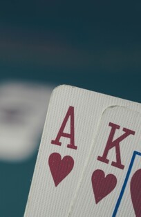 Gallery Image 2  for Poker Guide for Beginners page